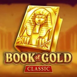 game logo by Playson on wintinoo.de