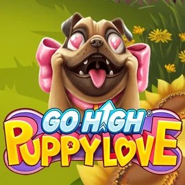 game logo by RubyPlay on wintinoo.de